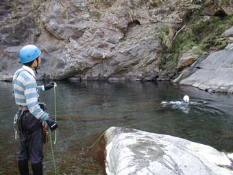 2004taiwan10c.jpg (29199 �o�C�g)