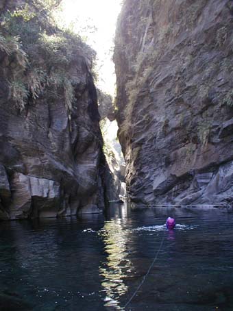 2004taiwan25a.jpg (37420 �o�C�g)