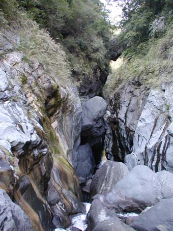 2004taiwan27.jpg (50214 �o�C�g)