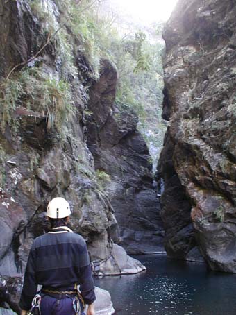 2004taiwan30a.jpg (44929 �o�C�g)