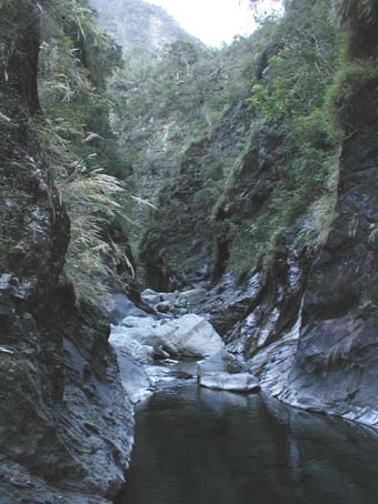 2004taiwan30b.jpg (39917 �o�C�g)