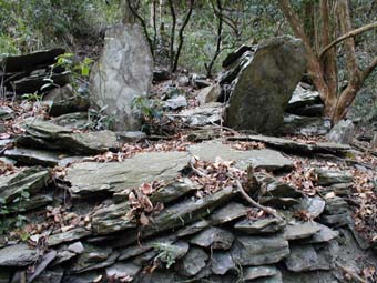 2004taiwan31.jpg (38947 �o�C�g)