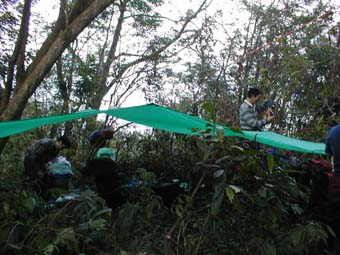 2004taiwan39.jpg (34953 �o�C�g)