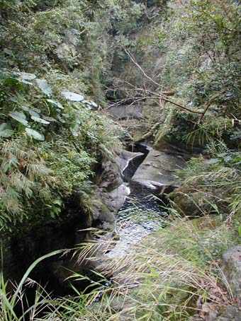 204taiwan35a.jpg (65783 �o�C�g)