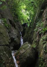 �����}�T�L�J