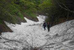 �����}�T�L�J