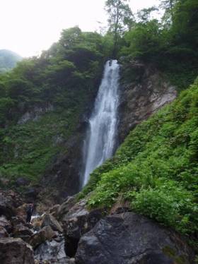 ���C�J��