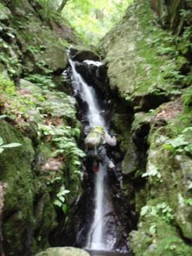 �ш�J����