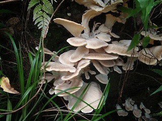 ���x�򍶖�