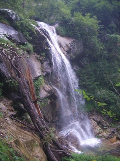 �啐�쐅���򍶖�